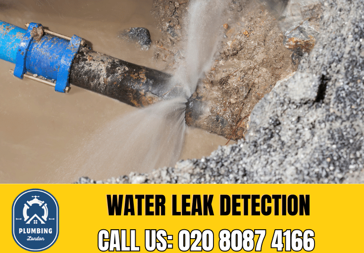 leak detection Muswell Hill